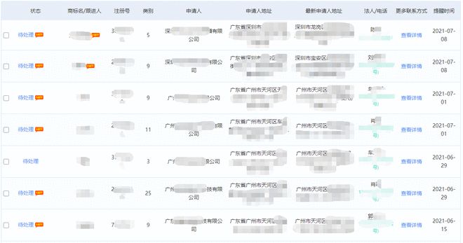 商标代理机构如何盈利？知产某公司分享营收翻倍的干开云 开云体育货(图4)