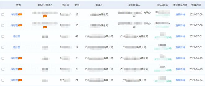 商标代理机构如何盈利？知产某公司分享营收翻倍的干开云 开云体育货(图3)