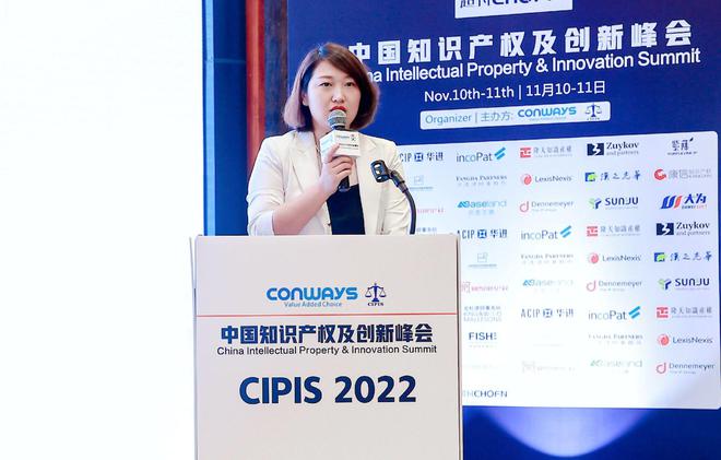 【2022中国知识产权及创新峰会】于深圳圆满落幕开云 开云体育官网(图2)