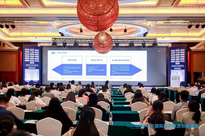 【2022中国知识产权及创新峰会】于深圳圆满落幕开云 开云体育官网(图16)