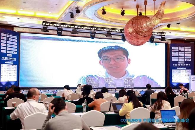 【2022中国知识产权及创新峰会】于深圳圆满落幕开云 开云体育官网(图15)