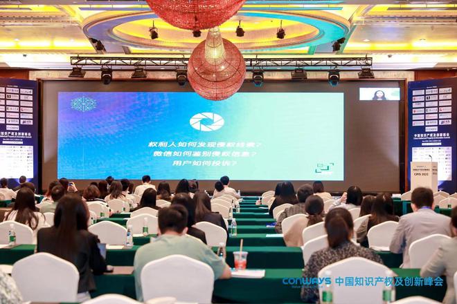 【2022中国知识产权及创新峰会】于深圳圆满落幕开云 开云体育官网(图19)
