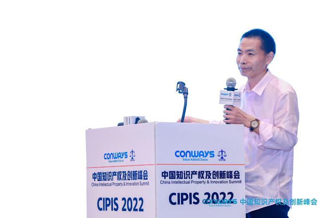 【2022中国知识产权及创新峰会】于深圳圆满落幕开云 开云体育官网(图22)