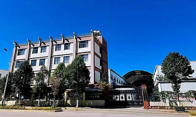开云 开云体育平台【对标·赶超】零突破！四家上榜国家知识产权示范企业和优势企业(图4)