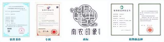 开云 开云体育知识产权干货满满