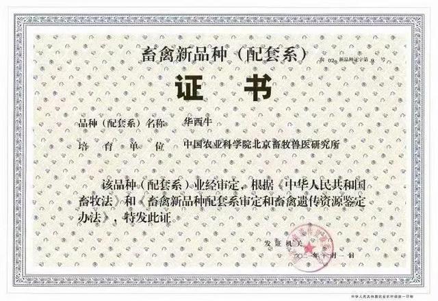 开云 开云体育43年我们终于有完全自主知识产权的牛了(图12)