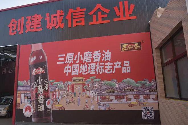 【“三有”争创】三原县开云体育 开云平台首个知识产权检察保护联系点揭牌成立