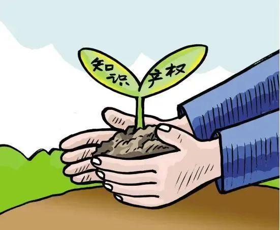 【法院动态】覃塘法院发出首份知识产权司法建议书 合力优化法开云体育 开云官网治营
