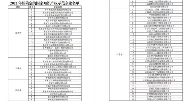 开云 开云体育喜报！南京市高淳区知识产权工作再添荣誉！(图2)