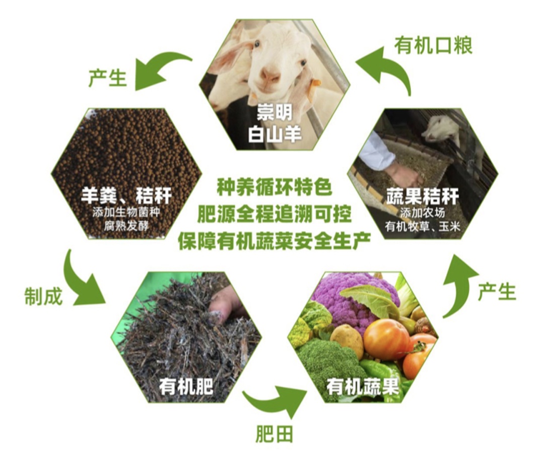 国家级生态农场！崇明两家开云体育 开云平台上榜(图6)
