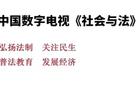 开云 开云体育平台权大师2018年全国商标代理机构申请总量排名第一(图3)