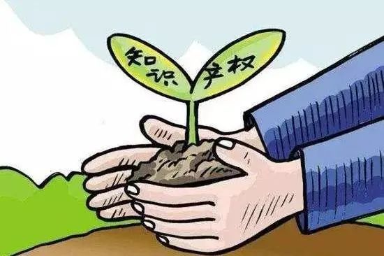 开云 开云体育官网速看！关于知识产权那些事儿你应该了解！