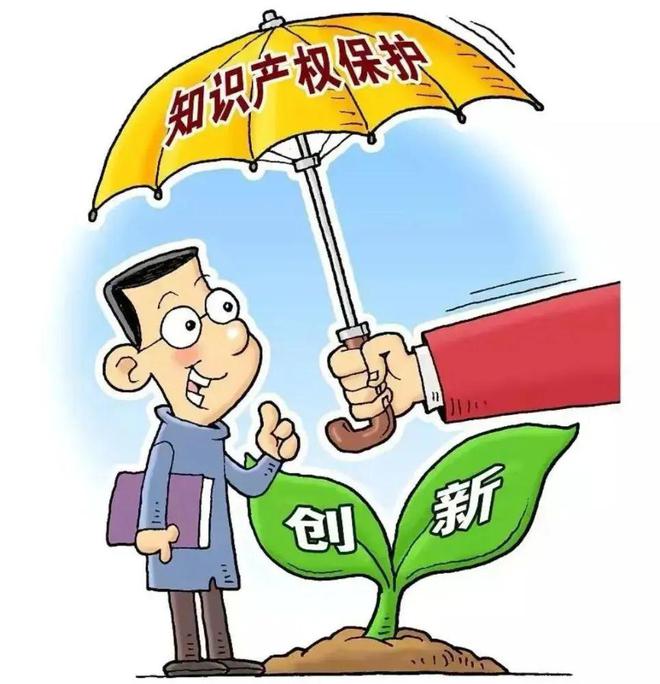 开云 开云体育官网【微普法】关于知识产权的这些知识你知道多少？(图3)