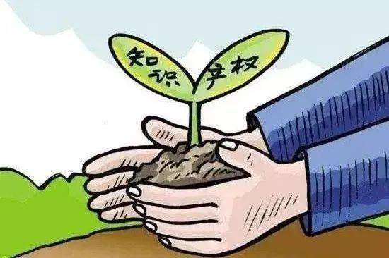 开云体育 开云官网世界知识产权日~这些知识产权要了解→(图2)