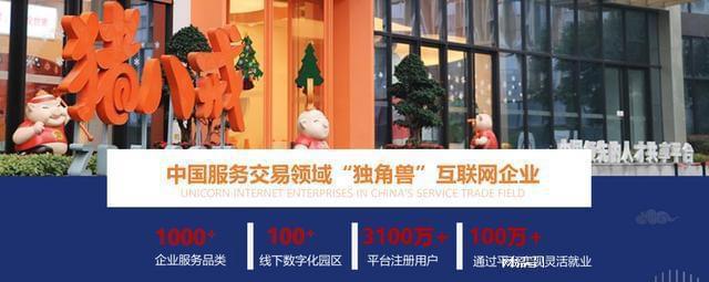 开云APP 开云官网入口企业发展的好帮手 专利查询就上猪八戒网(图5)