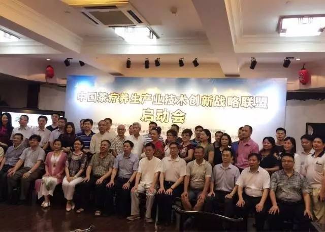 【琴圈大事开云 开云体育官网】七弦琴联营合作伙伴大事记(图5)