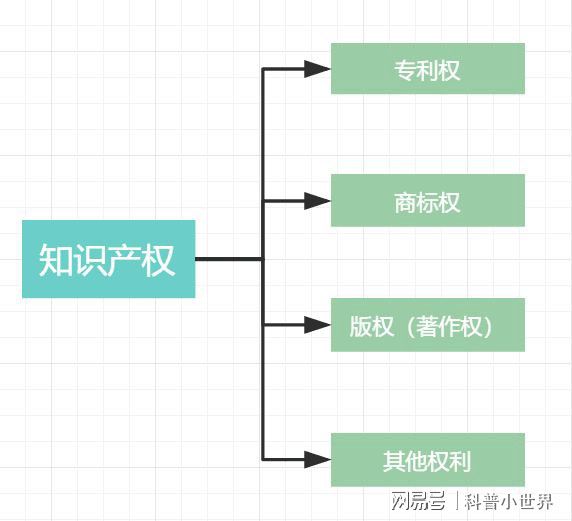 开云APP 开云官网入口知识产权你真的了解吗？（一）(图2)
