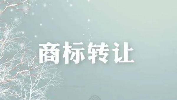 Kaiyun 开云商标转让的过程是怎么样的？