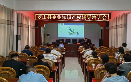 罗山县市场监管局举办企业开云体育 开云平台知识产权辅导培训会