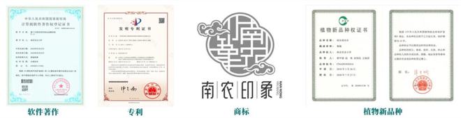 知识产权日｜知识产权干货开云体育 Kaiyun.com 官网入口满满