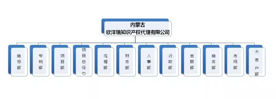 内蒙古欣洋开云APP 开云官网入口瑞知识产权代理有限公司简介(图3)