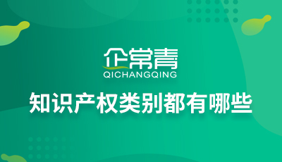 Kaiyun 开云知识产权类别都有哪些