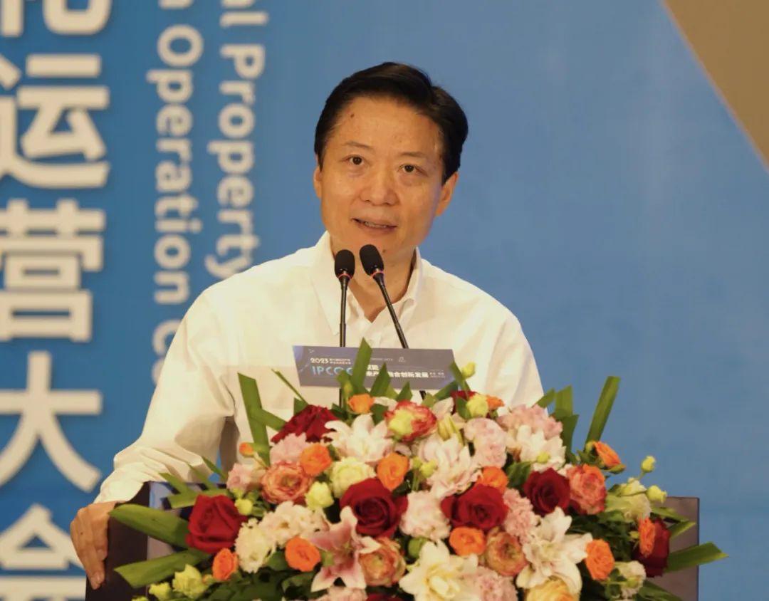IP如何赋能未来产业？第六届知识产权商业化运开云 开云体育平台营大会在嘉定举办(图3)