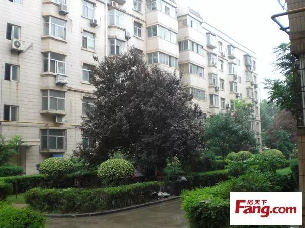 Kaiyun 开云知识产权的定义 知识产权的类型(图2)