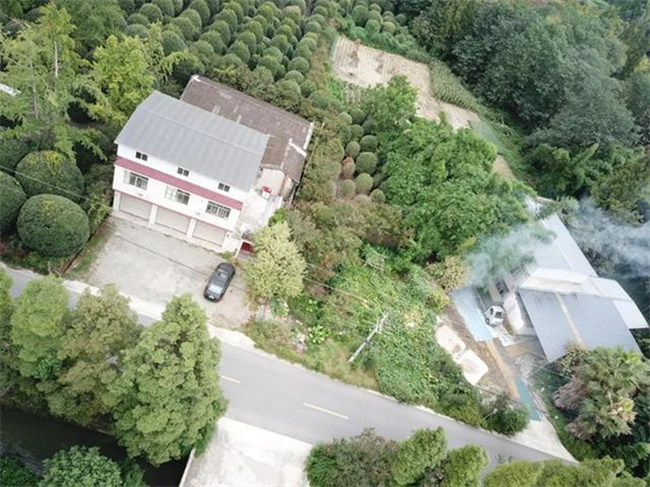 一瓶“歪”洗洁精牵扯出2200余万元假冒注册商标案开云体育 开云平台(图3)