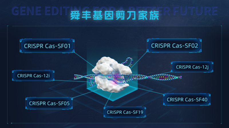 开云 开云体育平台舜丰生物专利申请突破200件