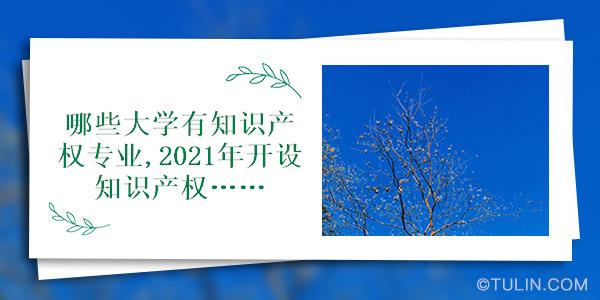 哪开云体育 Kaiyun.com 官网入口些大学有知识产权专业2021年开设知识