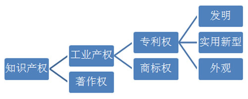 Kaiyun 开云体育什么是知识产权 知识产权可以分为哪几类