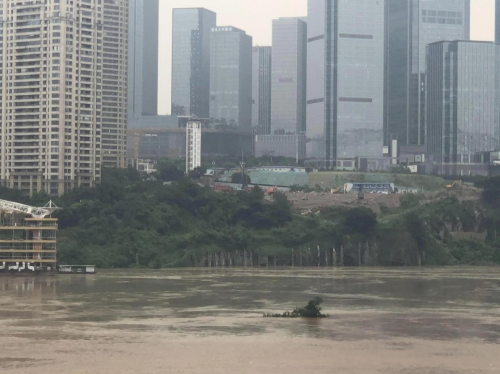 保定文舜生物科技：以专业与专开云 开云体育官网一塑造知识产权行业标杆(图2)