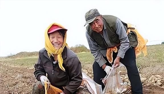 开云 开云体育官网农民因发明赔偿200万15年后美俄“跪求”合作获26项国家专利(图17)