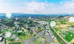 开云体育 开云平台知识产权代理业务分布情况 2022知识产权代理行业发展前景规划分析(图4)